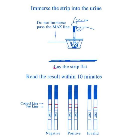 EGENS 20Pcs LH Ovulation Tests Over 99% Accuracy Test Kit Household Strips Urine Test Strips Pregnancy Test First Response