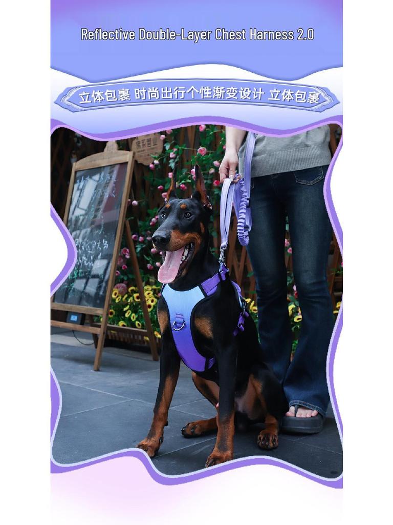Reflective Pet Dog Harness and Leash for Medium to Large Dogs - Anti-Shock Design