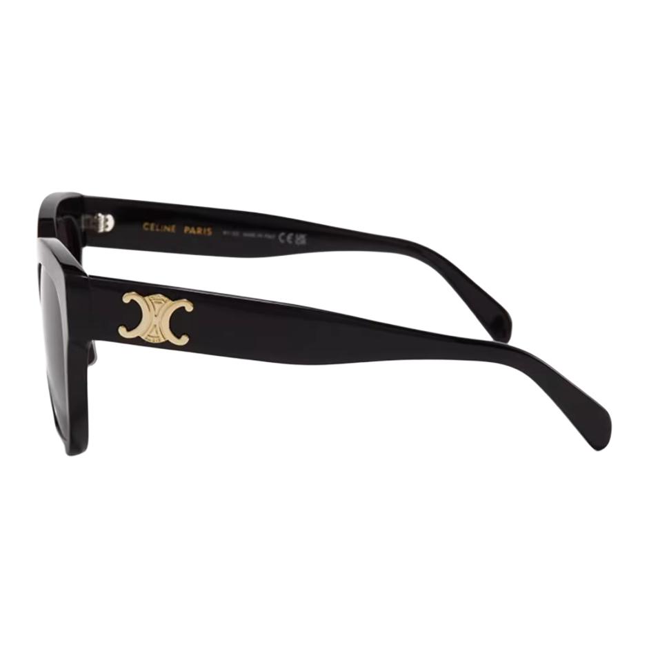 Celine Irregular Shape Sunglasses With Mirror Leg Pattern Design Women sunglasses Multicolor CL40235F