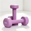 Yuying Dip-Coated Cast Iron Dumbbells (Pair)