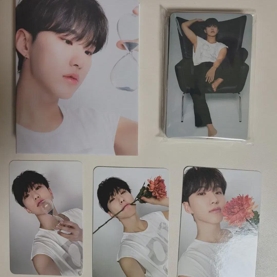 

Seventeen Best Album Maestro Deer Version Hoshi