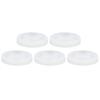 5PCS Silicone Mold Shell Conch Mirror Epoxy DIY Crafts Decoration Mold for Phone Case Decoration