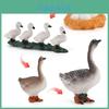 Pvc Farm Animal Growth Cycle Model With Static Duck Goose Hen Egg Incubation Display For Education