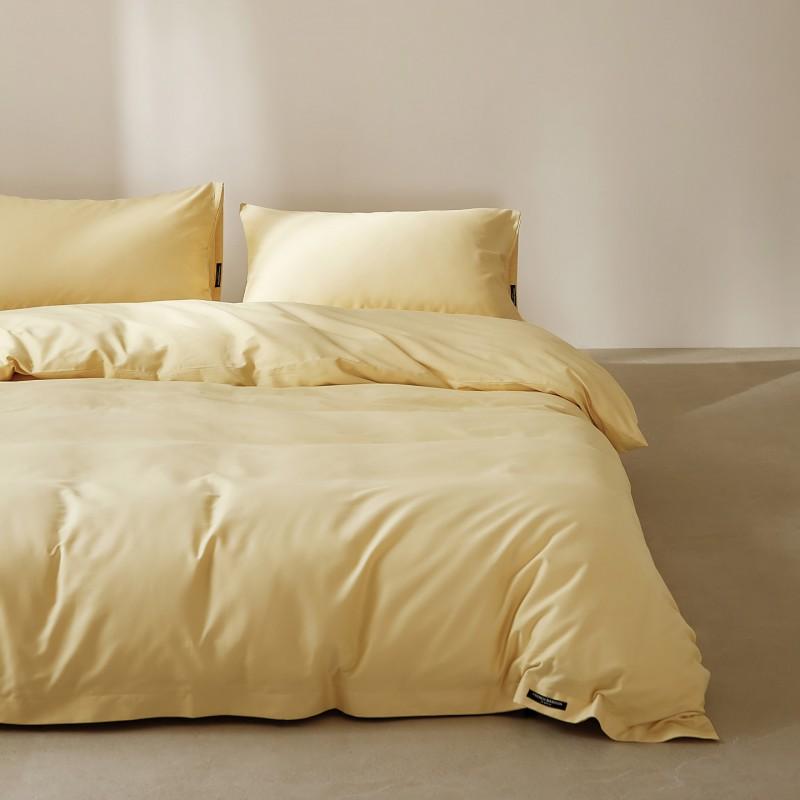 100% Cotton Flannel Bed Set High Count Solid Color Warm Winter Bedding Home