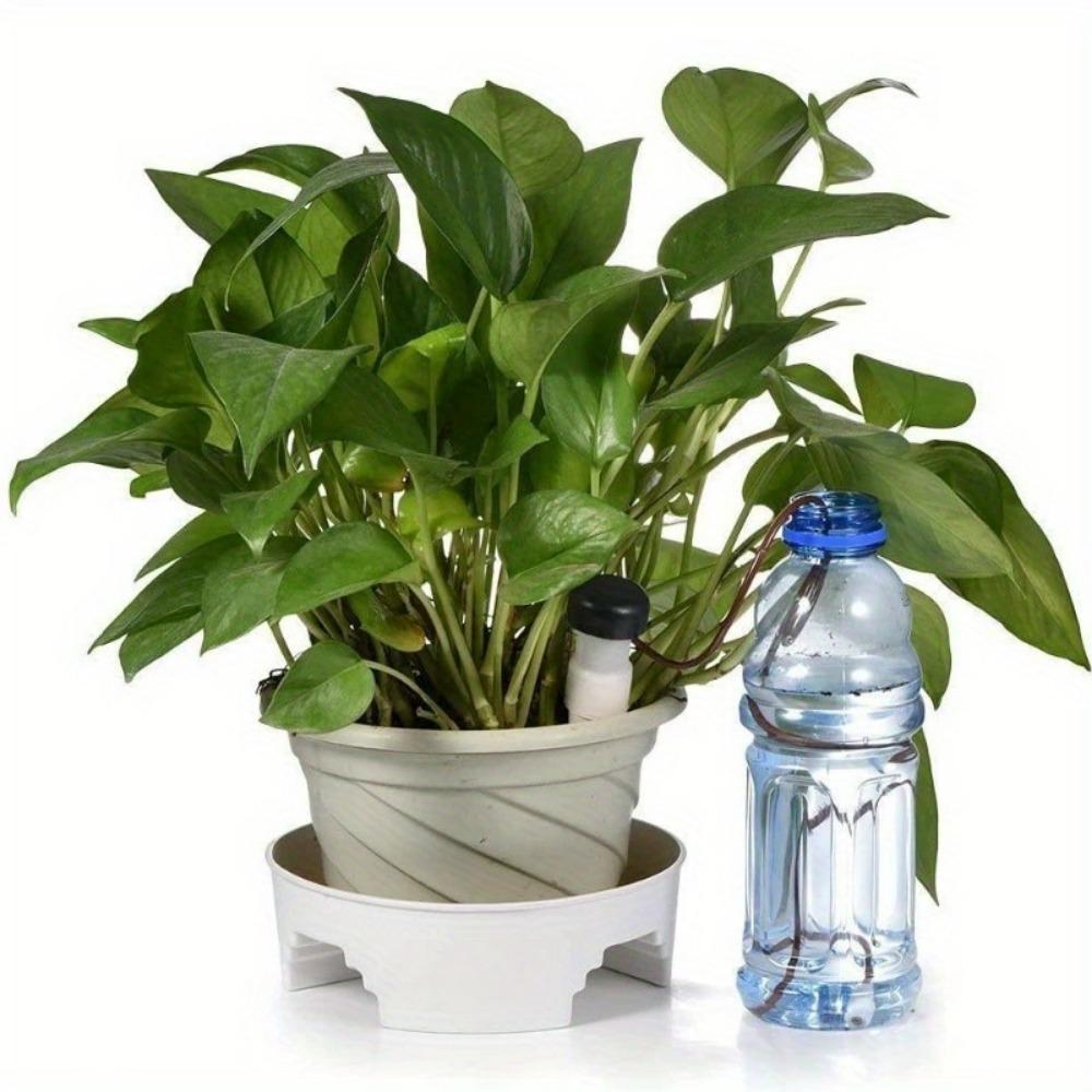 Dispositivo di irrigazione automatica per piante Dispositivo di irrigazione automatica a goccia Dispositivo di irrigazione a goccia a rilascio lento per piante