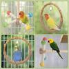2Pcs Bird Stand Perch Toy Wood Parrot Cage Accessories Interactive Bird Activity Cage Training Stress Relief for Small Parrots