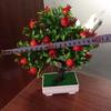 Plastic Foam Artificial Fruits Bonsai Multicolor Simulation Plant Potted Fruit Tree Potted  Gift