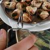 Kitchen Escargot Tongs, Escargot Cooking Tongs | Stainless Steel Snail Cooking Tongs, Rust-Resistant | Conch Food Grill Clamp for Seafood Lovers, Cafe