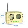 Cross-Border STEM DIY Wooden Radio Kit for Kids - Educational Science Gift
