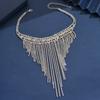 Stylish Full Diamond Neck Chain, Exquisite Flash Diamond Bundle Neck Chain, Long Fringed Rhinestone Collarbone Necklace, Neck Chain For Women