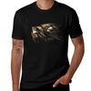 Xwing Tshirt Casual Trendy Streetwear Tee Shirt Tshirt
