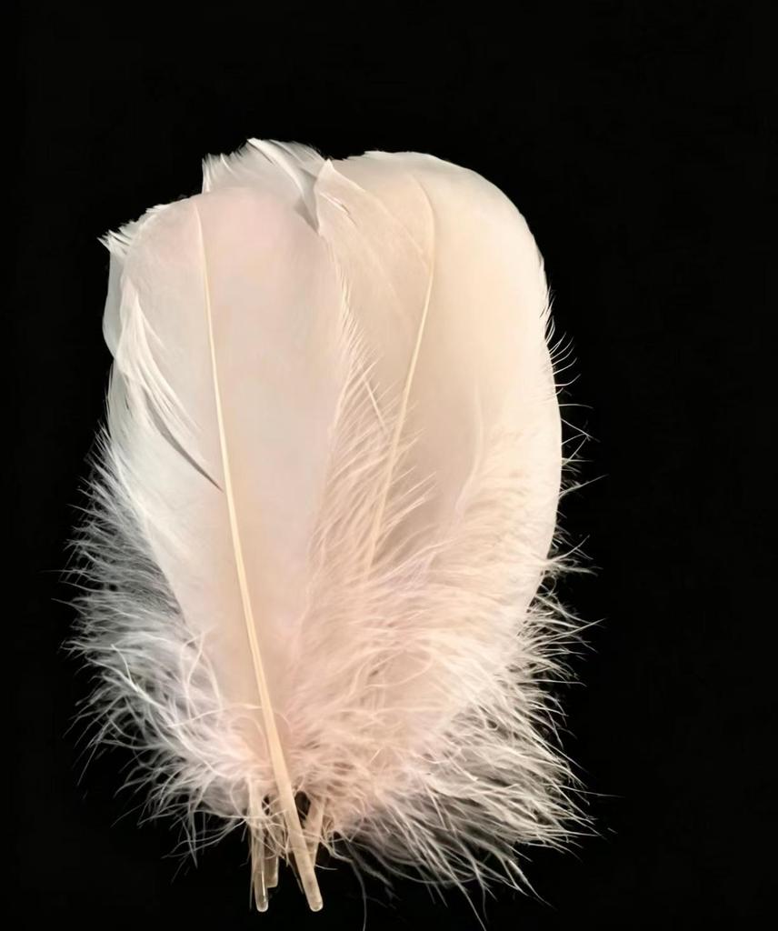 Large Soft Goose Feathers 14-18cm for DIY Dreamcatchers, Flowers & Crafts