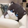 Non-Toxic 33Cm Creative Plush Round Fat Cat Plush Toys Cat Kawaii Animal Pillow Dolls Stuffed Toy Birthday Gift