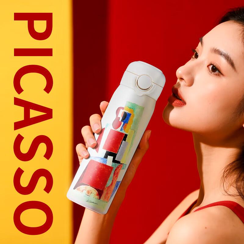 Picasso 316 Stainless Steel Insulated Bottle 500ml