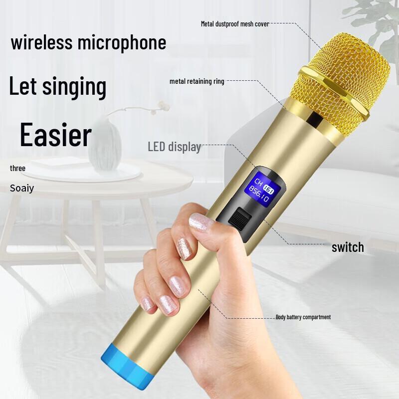 Soaiy SA-X39 12-inch Outdoor Portable KTV Speaker