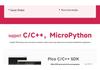 Raspberry Pi Pico 2W: Dual-Core Microcontroller with WiFi & Bluetooth Support