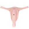 Silicone Wearable Panties with Insertable Vagina for Crossdressing and Couples Play