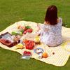 Outdoor Camping Mat, Picnic Mat, Beach Waterproof and Moisture-proof Portable Tent Sleeping Mat, Double-sided Aluminum Film