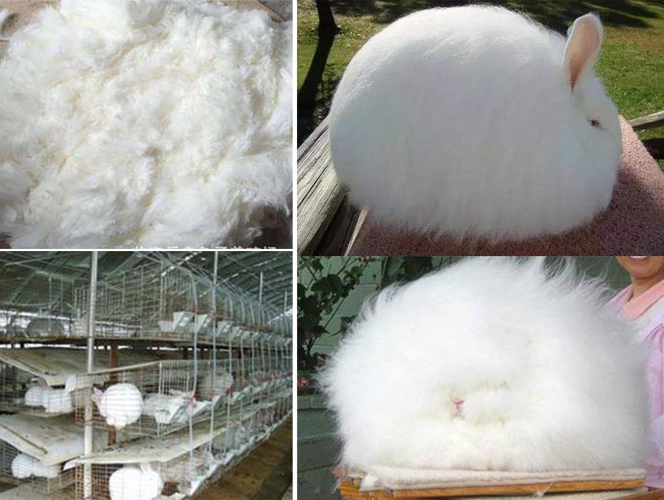 Čepice s čepicí pro ženy Zimní čepice Pletená králičí kožešina Skullies Čepice Teplá čepice s čepicí Dámské čepice pro dívku čepice