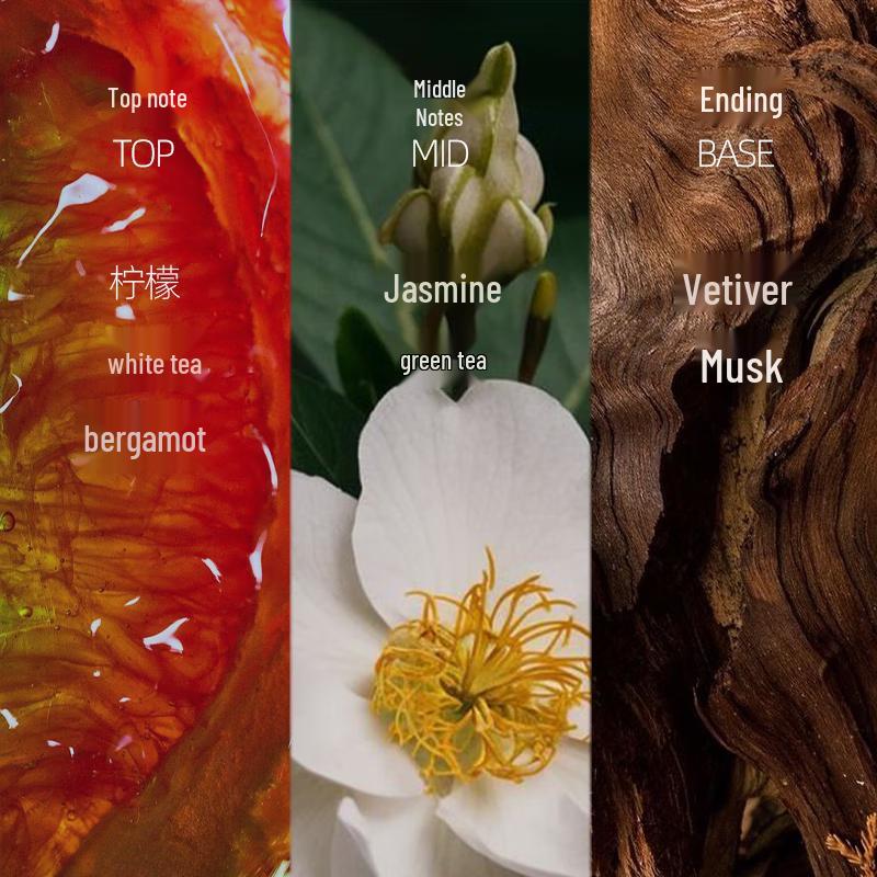 Ocean Supreme Men's Oil Control & Acne-Clearing Shower Gel, Woody Scent