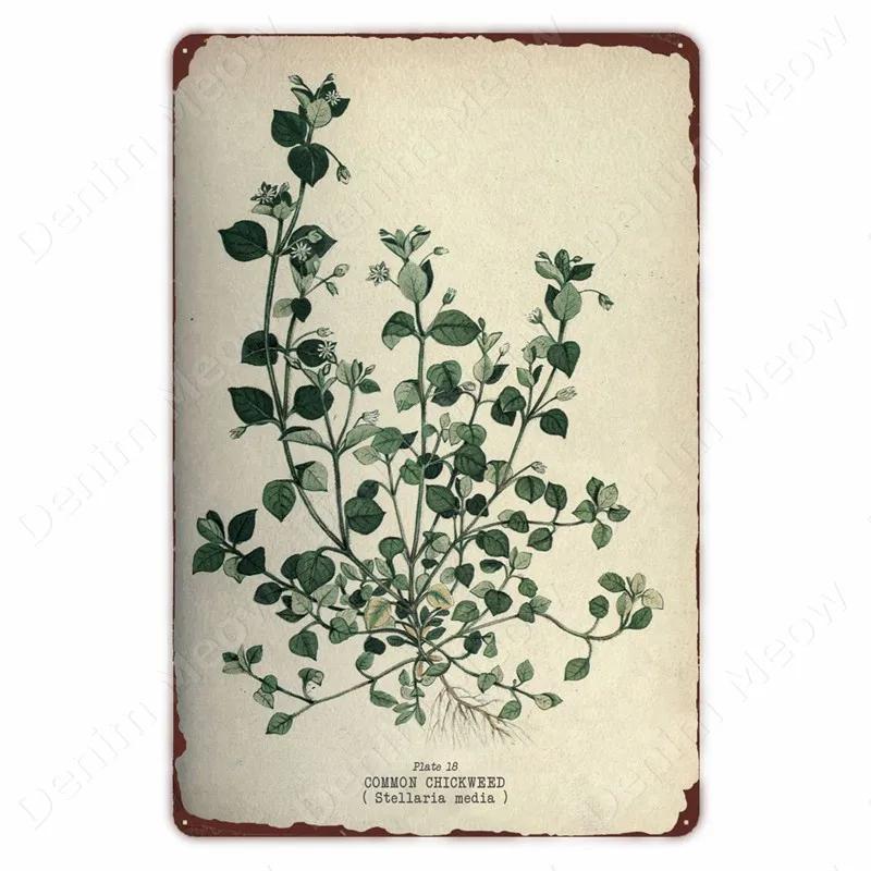 VegFruitVintageSign Vegetable Plants Retro Poster - Fruits/Cauliflower Vintage Metal Tin Sign, Garden/Kitchen Farm Wall Decor