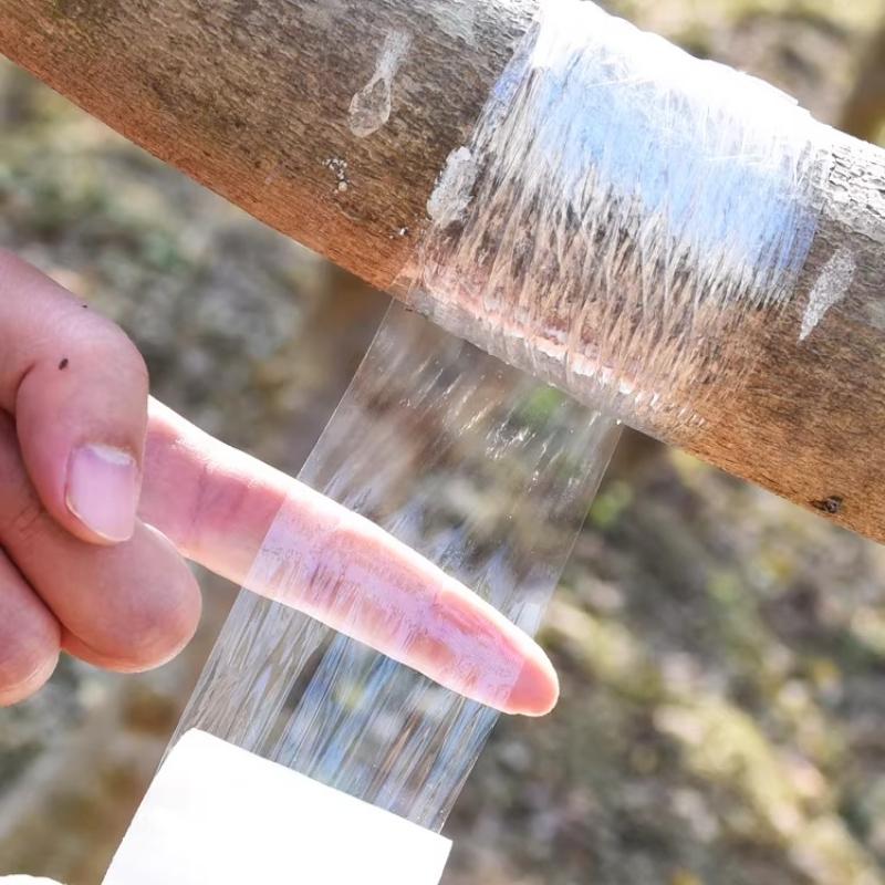 Specialized Film for Grafting Film PE Does Not Require Knotting Film Self-adhesive Garden Fruit Tree Grafting Tape Wrapp Tape Wrapping Film Degradable