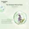 CHANDO Volumizing & Oil Control Shampoo & Conditioner Set