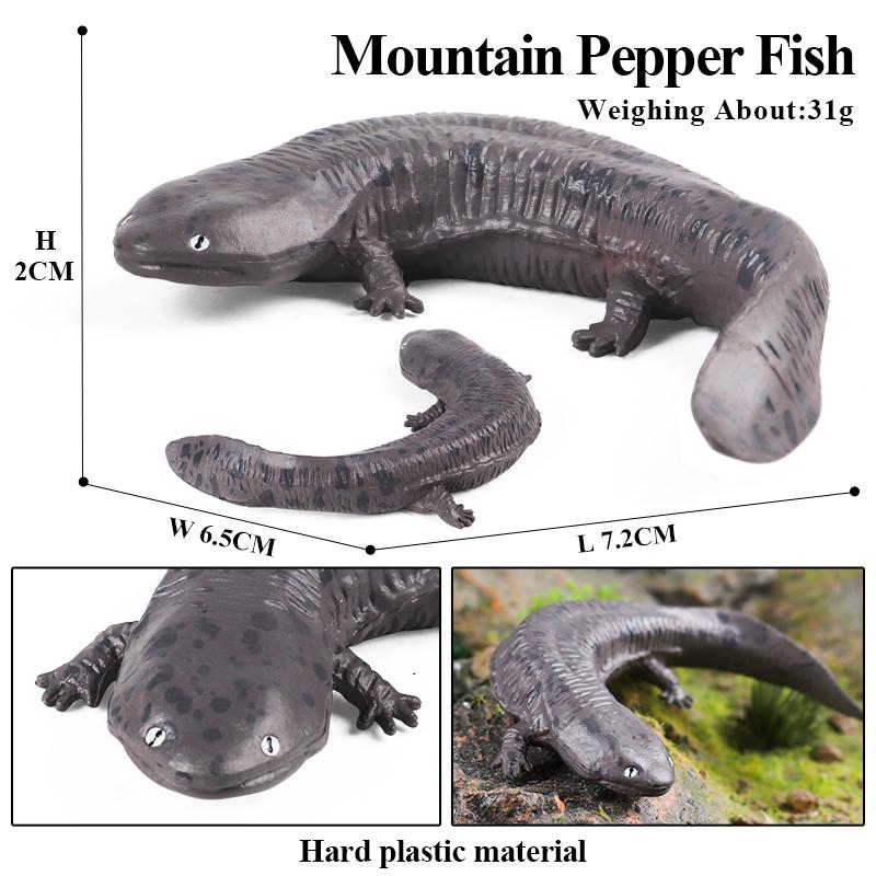 

Oenux Амфибии Водное животное Тритон Саламандра Cryptobranchoidea Животные Модель Фигурка Действия Образование Милая Детская Игрушка Подарок