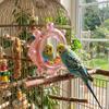 Colorful Ball Bird Mirror Perch Spinning Puzzle Parrot Spinning Wheels  Cage Accessories