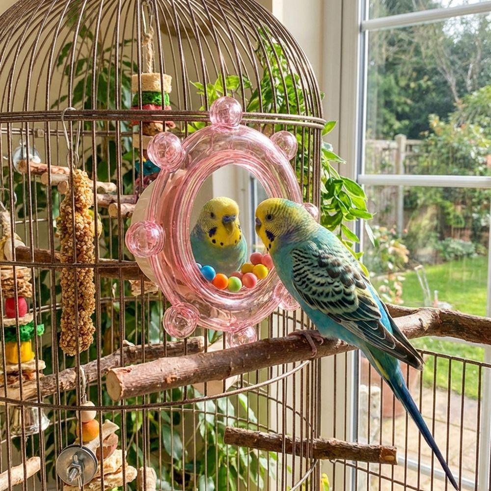 Colorful Ball Bird Mirror Perch Spinning Puzzle Parrot Spinning Wheels Cage Accessories