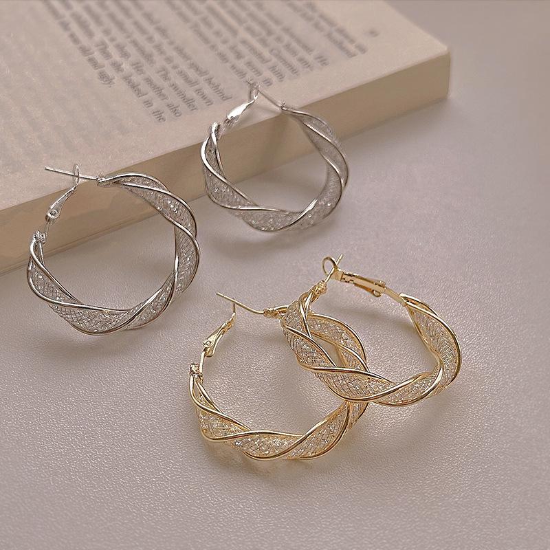 Boucles d'oreilles rondes torsadées en acier inoxydable pour femmes, 1 paire, polyvalentes, simples, à la mode, ZPG