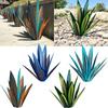 Agave Plants Green Garden Art Outdoor Decoration Handicrafts Creativity Ornament
