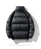 Men's Winter Korean Style Down Jacket - Stand Collar, Fluffy, Warm, and Trendy