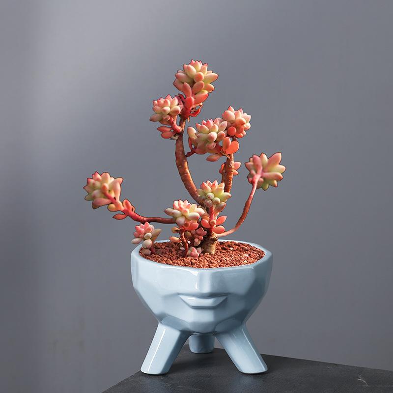 Ceramic Flower Pot Breathable Simple Nordic Style Portrait Pot Indoor Desktop Art Ornament Flower Pot Succulent Green Plant Flower Pot