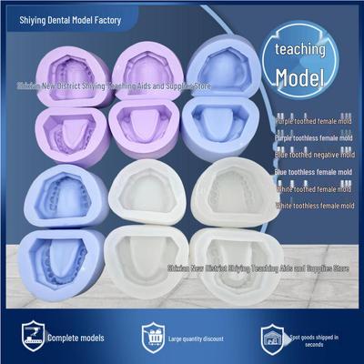 Stampo in Silicone Dentale Standard a 28 Denti per Gesso Senza Denti e Con Denti.