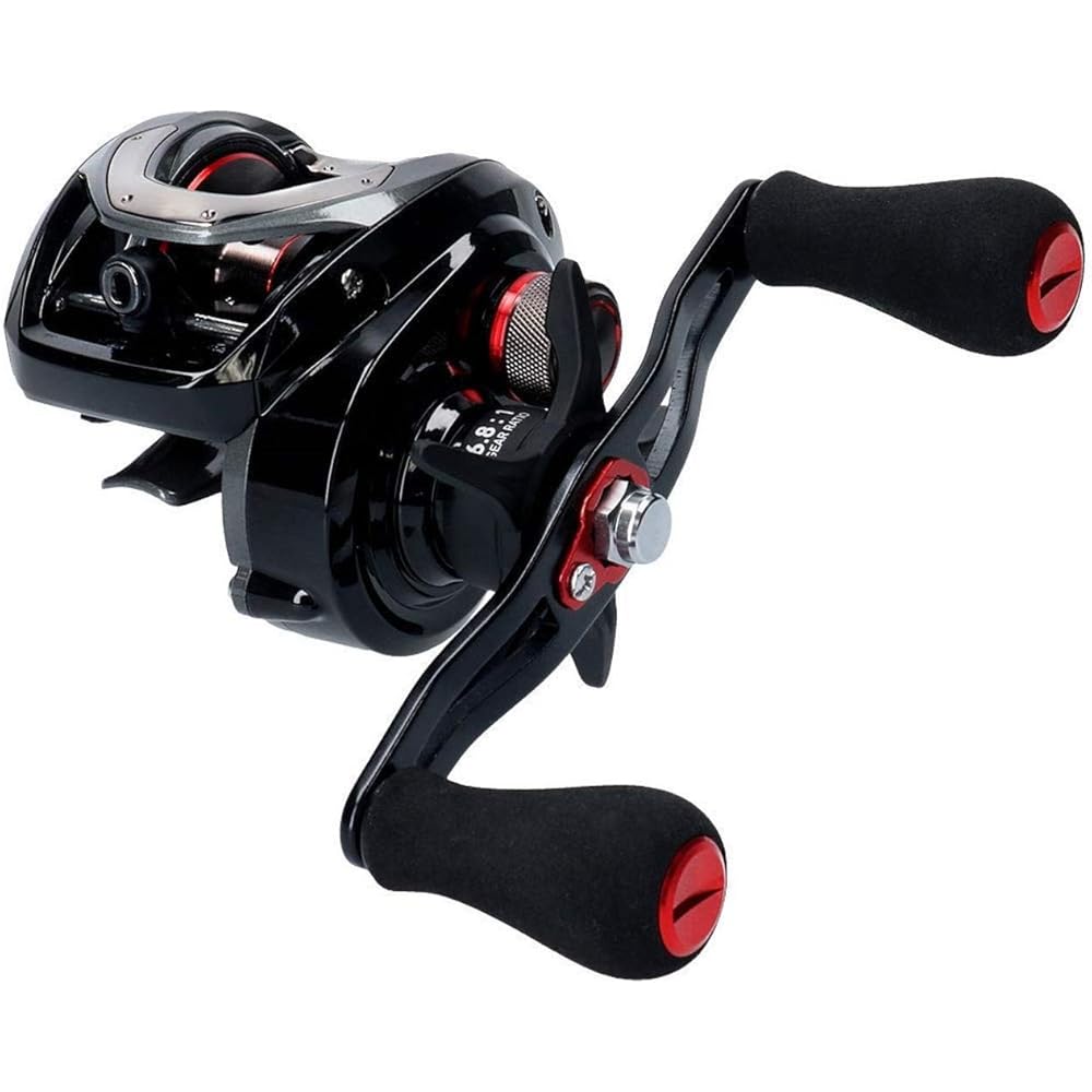 Daiwa (DAIWA) Fune X 100HL double shaft reel
