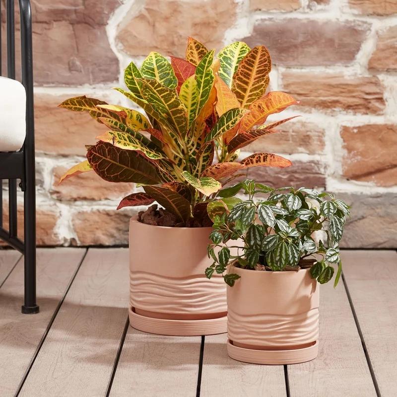 8 Inch Round Terracotta Plant Pot with Drainage Saucer Durable Eco-Friendly Indoor Outdoor Planter Succulents Flowers and