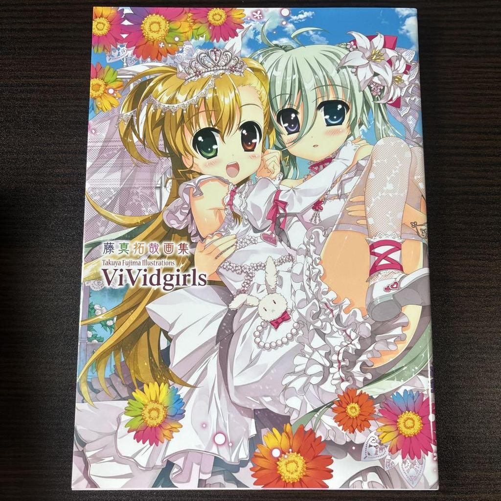 [USED] Comes with a Special Case for This Non-sale Item! Takuya Fujima Art Book ViVidgirls
