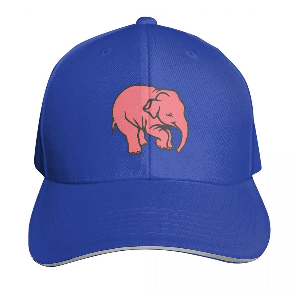 Delirium Elefant Baseballkappe Geburtstag Dropshipping Hut Unisex Luxus Mode Strand Für Frauen Unisexs