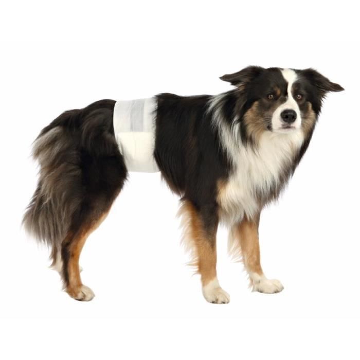 Couches Pour Chiens Mâles, Mamp;ndash;L, 12 Pcs