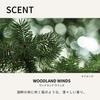 BAUM Face Wash Gel 180mL Facial Cleanser Woodland Winds Scent Bare Forest Birthday Trees Skincare, Moisturizing, Skin, Bathing, Unisex, Men's,