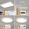 LED Full Spectrum Ceiling Light - Modern Minimalist Design for Living, Dining, and Bedroom Spaces