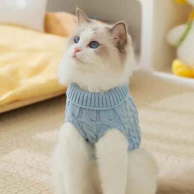 Herbst und Winter neuer zweibeiniger Haustier einfarbiger Strickpullover modische nackte Katze kleine und mittelgroße Welpenhund Katze Kleidung