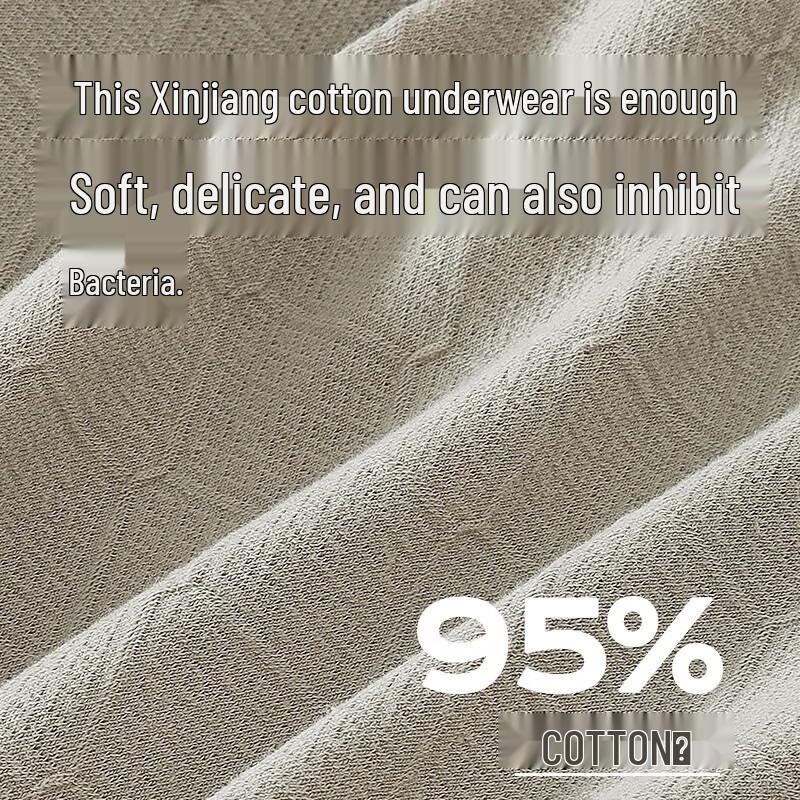 Herren 7A Antibakterielle Reine Baumwolle Boxer Briefs (3 Pack)