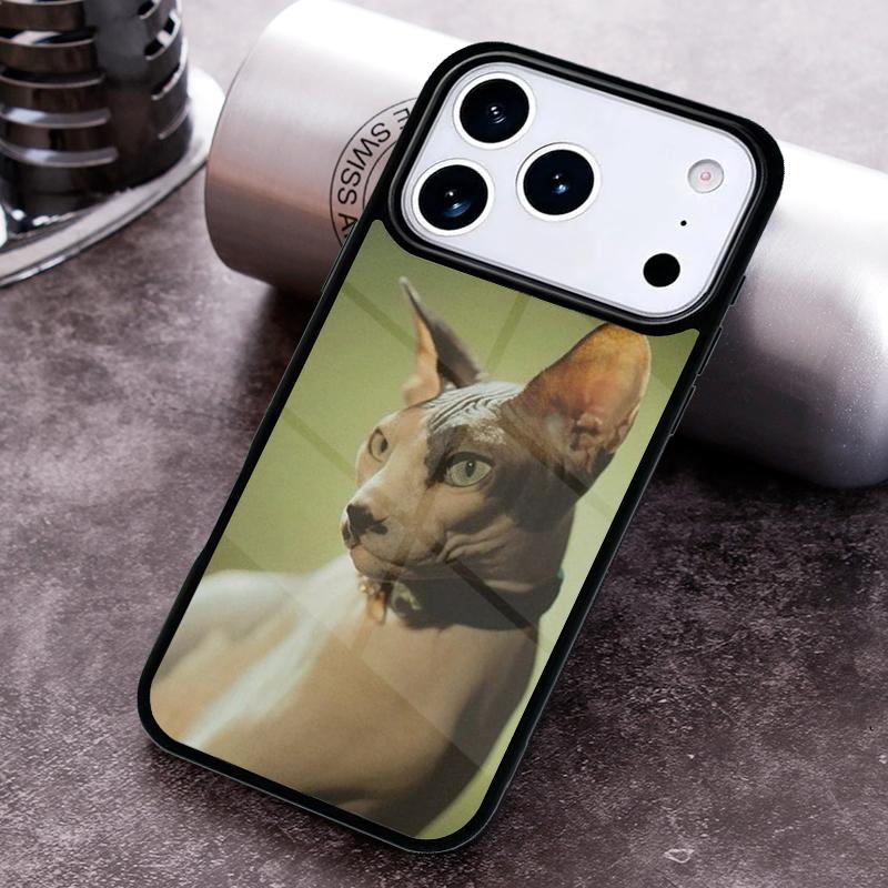 Sphinx Cat Phone Case For iPhone 17,16e,15,14,13,12,11,Mini,Pro,MAX soft Silicone Cover