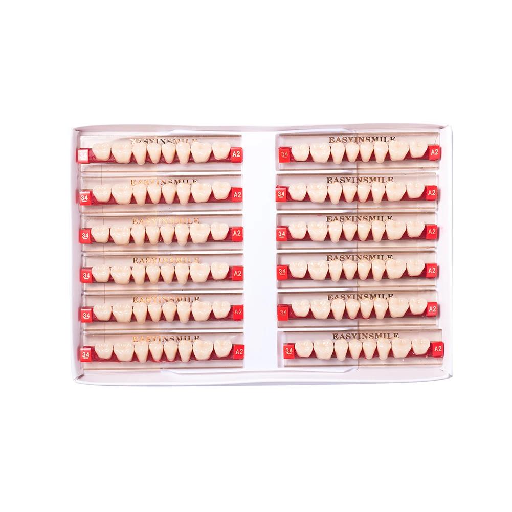 16/12 Sätze/Karton Zahnprothese Zähne Oberkiefer Frontzähne Unterkiefer Seitenzähne Dentier Synthetisches Polymerzähne Zahnmedizinische Ausbildungsmodell