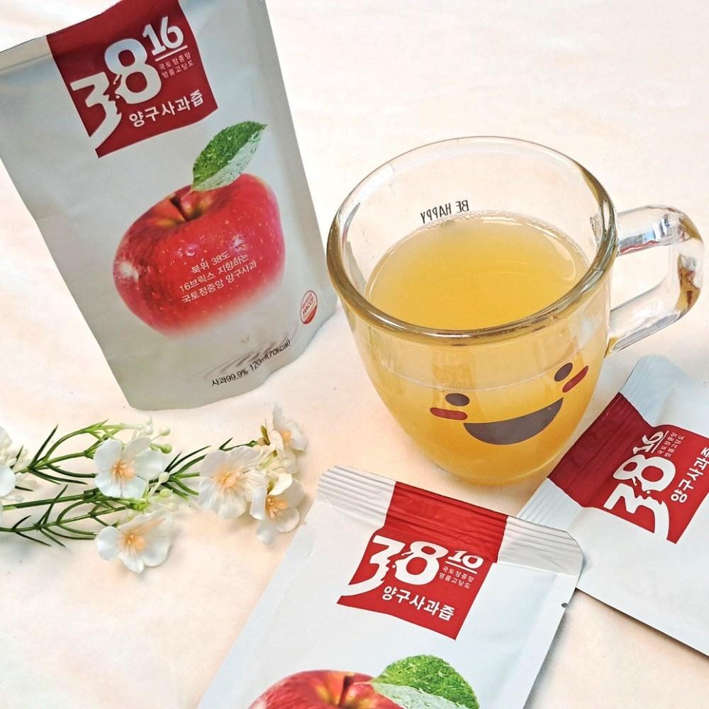 Yanggu 3816 100% Apple Juice 120ml 50 Pouches Seonhwa Apple Farm
