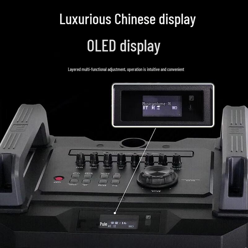 Malata New Juding Portable Trolley Speaker with Wireless Mic