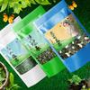 Green Tea Biluochun 100g Jasmine Herbal Detox Energy Boost for Men Women