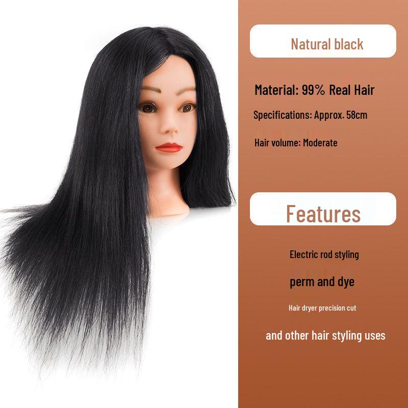 Apprentice Hair Styling Mannequin Head with Real Hair for Perming, Curling, and Makeup Practice